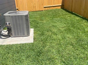 Michelle O.'s lawn care service result