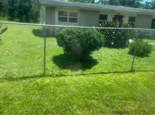 Steve B.'s Bush Trimming service result