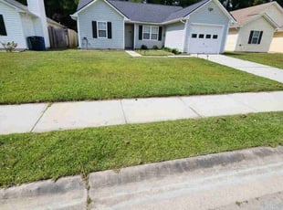 Sid D.'s grass maintenance service result