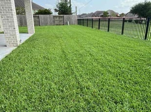 Diane E.'s grass maintenance service result