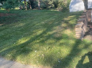 Lindsey H.'s turf maintenance service result