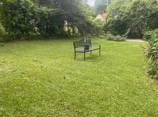 Joanne Z.'s grass cutting service result