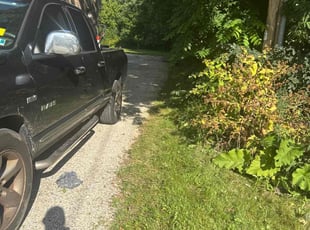 Rena M.'s Bush Trimming service result