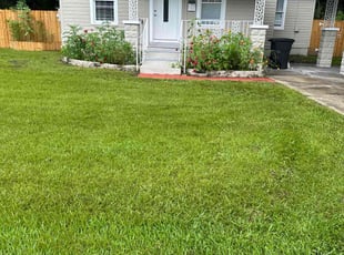 Natasha D.'s turf maintenance service result