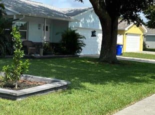 Jo K.'s grass maintenance service result