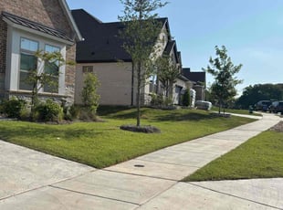 Becca H.'s lawn care service result