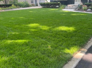 Michelle F.'s lawn service service result