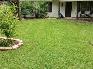 Jackie S.'s grass cutting service result