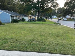 Joseph K.'s turf care service result