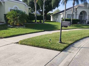 Vera B.'s lawn service service result