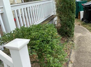 Jessica W.'s Bush Trimming service result