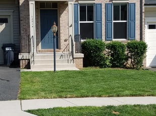 Kelly M.'s grass cutting service result