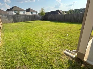 Jeremy P.'s grass maintenance service result