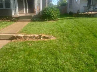 Kim P.'s grass maintenance service result