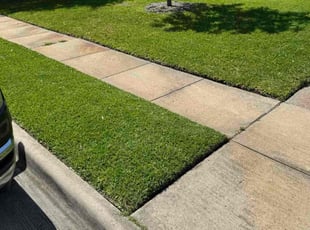 Penny R.'s lawn maintenance service result