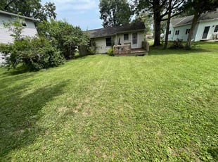 Christina M.'s grass cutting service result