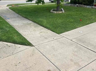 Ronald L.'s turf maintenance service result