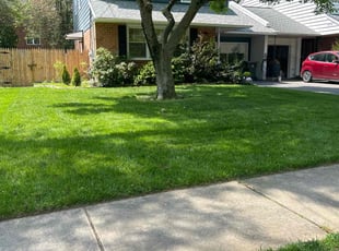 Kaye W.'s lawn care service result
