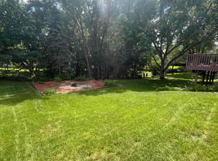 Rhonda J.'s grass cutting service result
