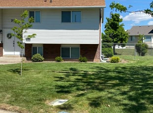 Delicia B.'s lawn care services service result