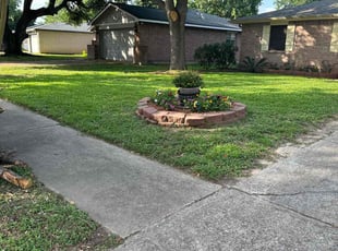 Jean A.'s lawn care service result
