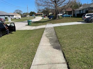 Barbara K.'s turf maintenance service result