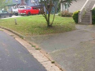 Shiela W.'s Bush Trimming service result