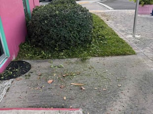 Joe G.'s Bush Trimming service result