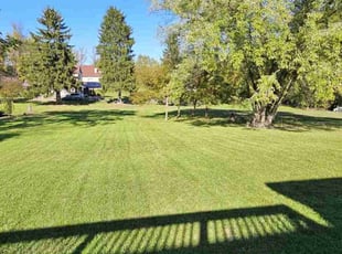 Tina S.'s lawn maintenance service result