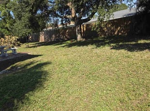 Andrew B.'s lawn care service result