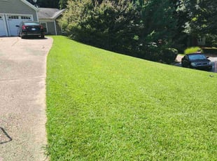 C J.'s turf care service result