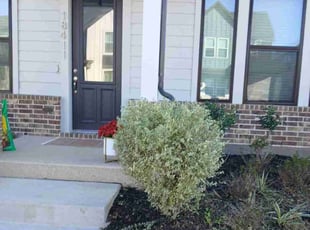 Holly I.'s Bush Trimming service result