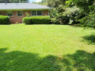 Destiny J.'s turf care service result