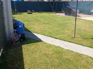 Kevin N.'s lawn care service result