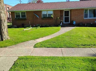 Ken K.'s turf care service result