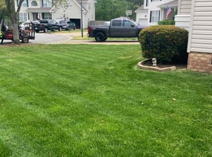 Jojo A.'s grass cutting service result