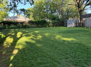 Amy P.'s turf maintenance service result