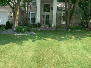 Amy N.'s grass maintenance service result