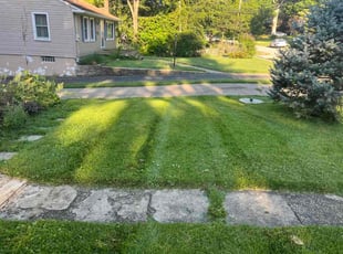 Ken C.'s lawn care services service result