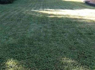 Janna B.'s lawn maintenance service result