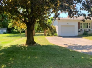 Jana A.'s grass maintenance service result