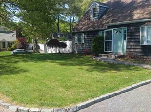 Luticha E.'s lawn maintenance service result