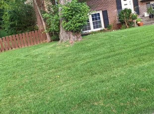 Patty E.'s lawn care services service result