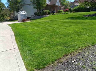 Srini A.'s grass cutting service result