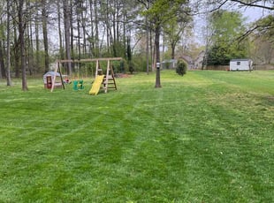Joe S.'s lawn maintenance service result