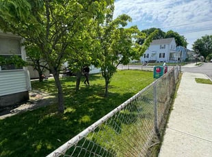 Josh P.'s lawn care service result