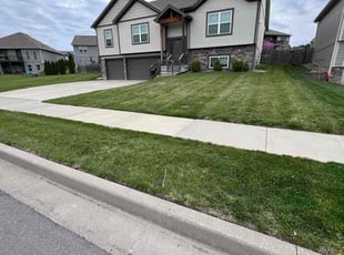 Diane A.'s lawn care services service result