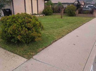 Greg W.'s lawn service service result