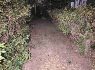 George S.'s Bush Trimming service result