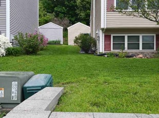 Rhonda S.'s grass cutting service result
